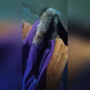 Women's Alpinetek winter coat